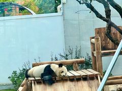 -无锡动物园·太湖欢乐园