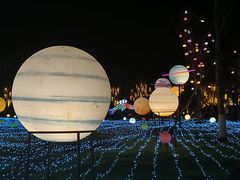 -洋湖国家湿地公园