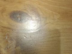 -高新活力汇Vitality