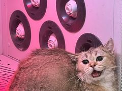 -沐沐家宠物(成寿寺店)