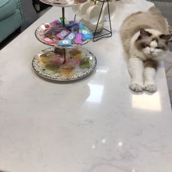 -元一肌肤管理中心