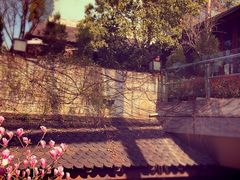 iphone_upload_pic-证大大拇指广场(芳甸路店)