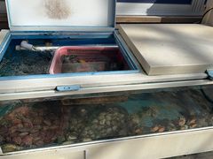 -真情鲍鱼海鲜汤