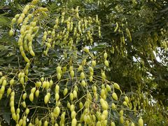 -南京市无想山景区