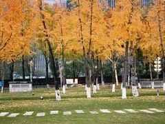 -重庆市江北嘴中央商务区中央公园