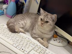 -佳雯宠物医院·皮肤科·内外科(春晓路分院)