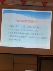 -上海美兰湖妇产科医院