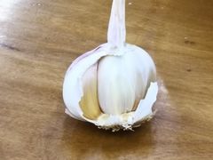 -回坊马二饺子馆