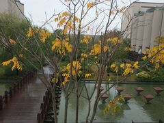 -上海崇明金茂凯悦酒店