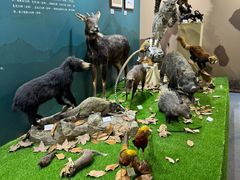 -国家自然博物馆