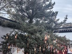 -东山雕花楼