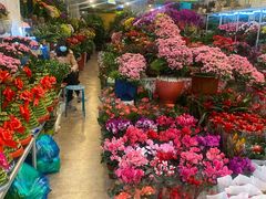 -双季花艺园艺市场(浦东店)