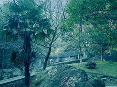 -宁波五龙潭景区