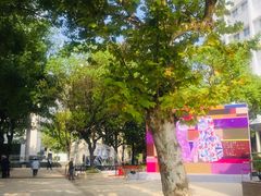 -Seesaw Coffee(上生新所店)