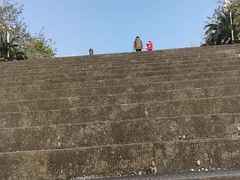 -三峡梯城