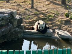 -西霞口神雕山野生动物世界