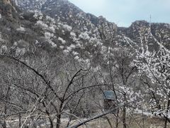 -大岭沟猕猴桃谷风景区