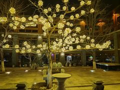 -那家山城(樱桃园店)