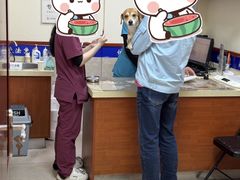 -艾贝尔宠物医院·狂犬免疫点(江山金象城店)