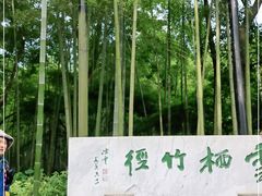 -云栖竹径