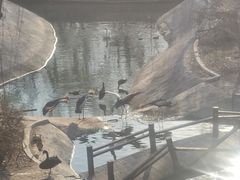 -太原动物园