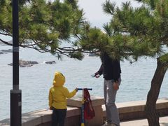 -青岛第二海水浴场