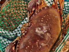 -碧海银沙海鲜餐厅(恒大海上威尼斯店)