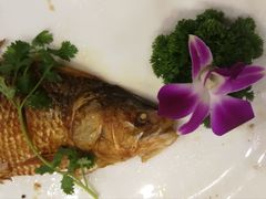 香煎三泥鱼-龙悦湾酒家·八阵鱼生·渔人码头店