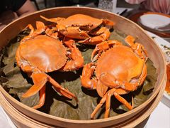 -鹿园 MOOSE(长宁店)