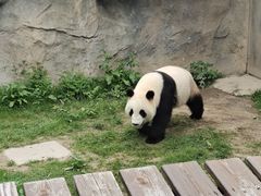 -上海野生动物园