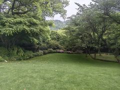 -中国茶叶博物馆(双峰馆区)