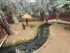 -呀路古热带植物园