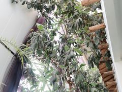 -忆江南·生态餐饮宴会酒店