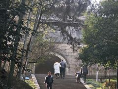 -峙山公园