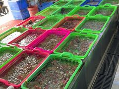-众味海鲜大排档·活海鲜·潮汕味(南澳店)