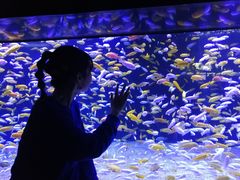 -成都浩海立方海洋公园