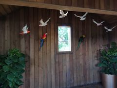 -杭州开元森泊度假乐园