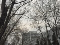 -东北大学(南湖校区)