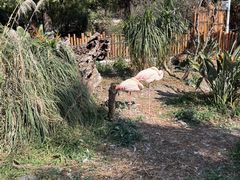 -昆明动物园