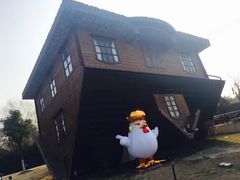 -金山农民画村-枫泾波兰倒置屋