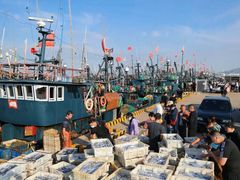 -巧克力渔家.小船海鲜胶东菜(万平口店)