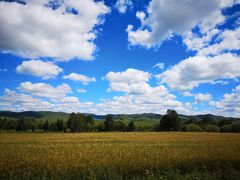 -塞罕坝国家级自然保护区