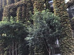 -澳珀食堂