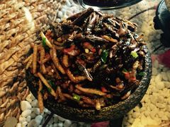 -慢丽江·云南野生菌土鸡锅(付家庄店)