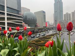 -SFC动漫主题影院(美罗城店)