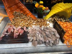 -苏格里岛自助海鲜烤肉(青秀万达店)
