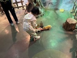-Zoolung Zoolung动物主题公园(海信广场店)