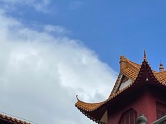 -深圳仙湖植物园
