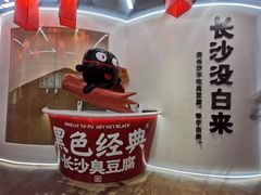 -黑色经典臭豆腐·湖南特产(潇湘文化店)