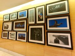 -绿岛国际酒店·海鲜酒楼(八七路店)